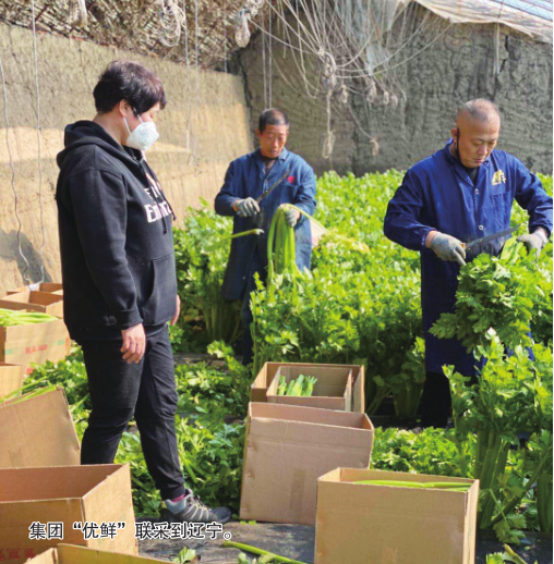 必赢76net线路(股份)有限公司 - BinG百科