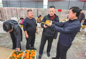 必赢76net线路(股份)有限公司 - BinG百科